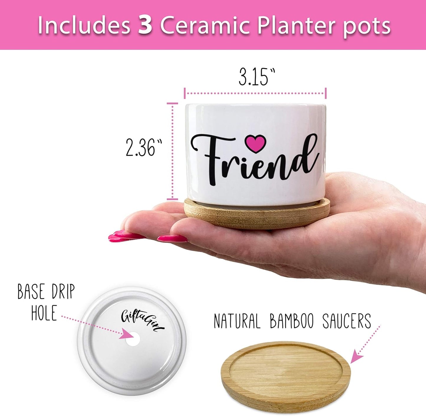 Best Friend Christmas or Birthday Gifts for Women - Our Pretty Best Friend Pots Are Lovely Gifts for Girlfriend for Birthday or Christmas and Arrive Beautifully Gift Boxed for Her