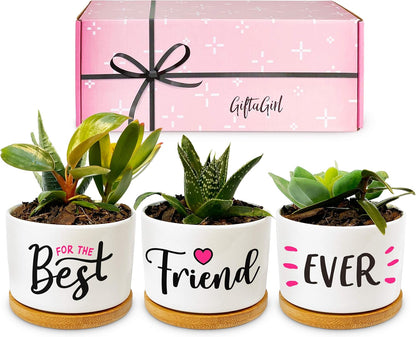 Best Friend Christmas or Birthday Gifts for Women - Our Pretty Best Friend Pots Are Lovely Gifts for Girlfriend for Birthday or Christmas and Arrive Beautifully Gift Boxed for Her
