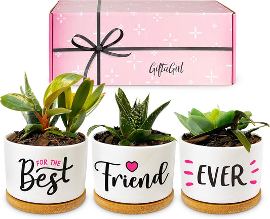 Best Friend Christmas or Birthday Gifts for Women - Our Pretty Best Friend Pots Are Lovely Gifts for Girlfriend for Birthday or Christmas and Arrive Beautifully Gift Boxed for Her