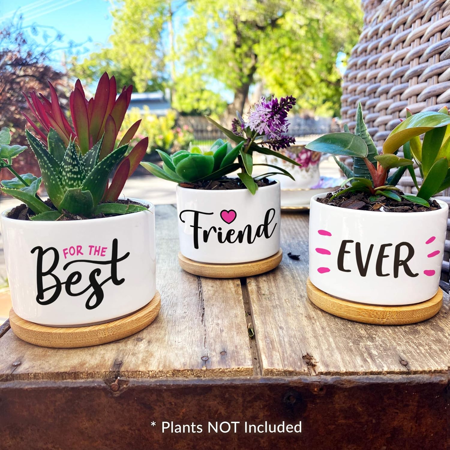 Best Friend Christmas or Birthday Gifts for Women - Our Pretty Best Friend Pots Are Lovely Gifts for Girlfriend for Birthday or Christmas and Arrive Beautifully Gift Boxed for Her