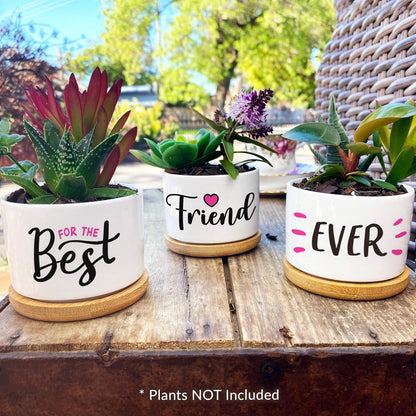 Best Friend Christmas or Birthday Gifts for Women - Our Pretty Best Friend Pots Are Lovely Gifts for Girlfriend for Birthday or Christmas and Arrive Beautifully Gift Boxed for Her