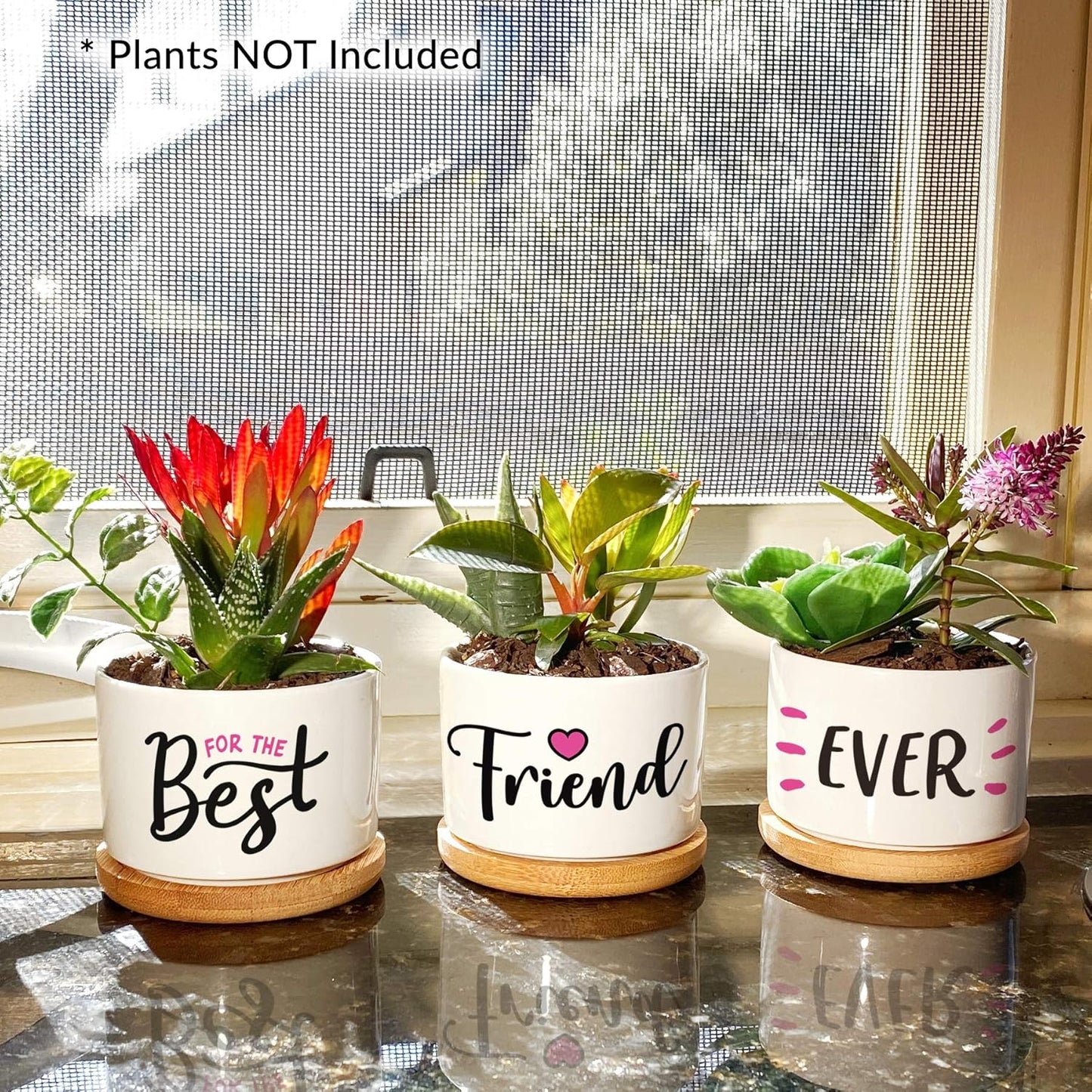 Best Friend Christmas or Birthday Gifts for Women - Our Pretty Best Friend Pots Are Lovely Gifts for Girlfriend for Birthday or Christmas and Arrive Beautifully Gift Boxed for Her