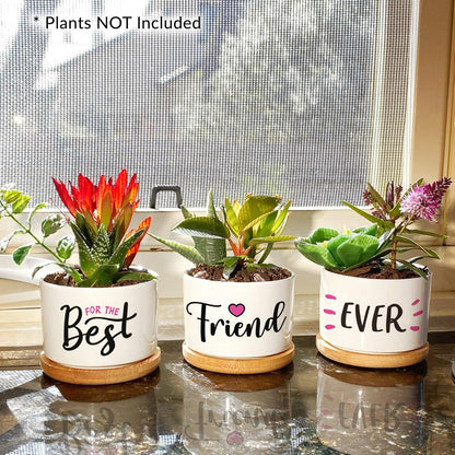 Best Friend Christmas or Birthday Gifts for Women - Our Pretty Best Friend Pots Are Lovely Gifts for Girlfriend for Birthday or Christmas and Arrive Beautifully Gift Boxed for Her